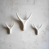 Three white deer antlers on a textured beige wall