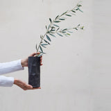 hands holding black vase with branch