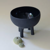 black decorative bowl with four legs pictured from a high angle where the shiny inside is visible, styled with seashells